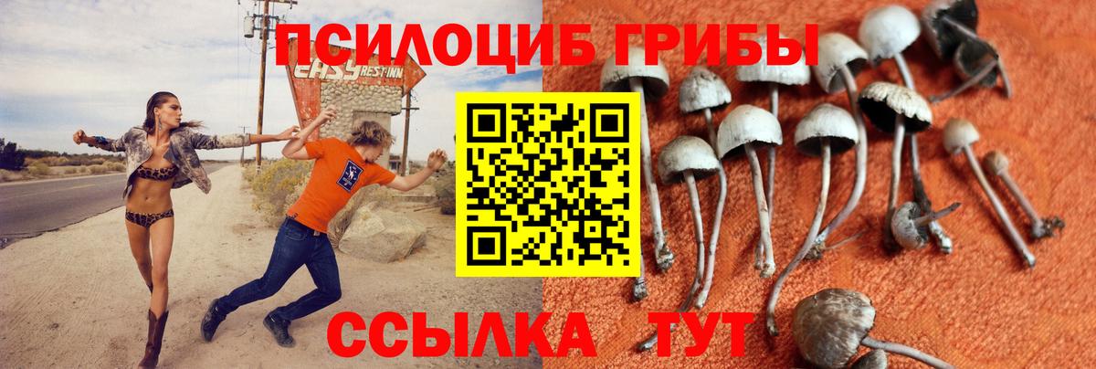 Галлюциногенные грибы MAGIC MUSHROOMS  Псилоцибиновые грибы мицелий  Елизово  Вход с VPN 